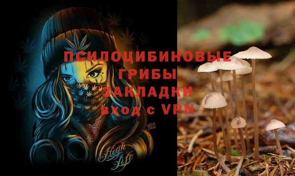 первитин Алексеевка