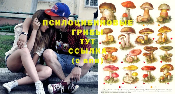 мет Армянск
