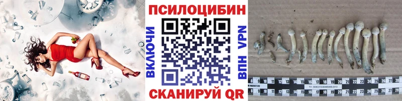 Псилоцибиновые грибы Cubensis  shop наркотические препараты  Пошехонье 